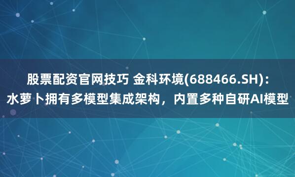股票配资官网技巧 金科环境(688466.SH)：水萝卜拥有多模型集成架构，内置多种自研AI模型